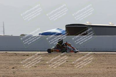 media/Mar-29-2025-Pro Autosports (Sat) [[89b1c017ad]]/6-Purple Group/Main Race/